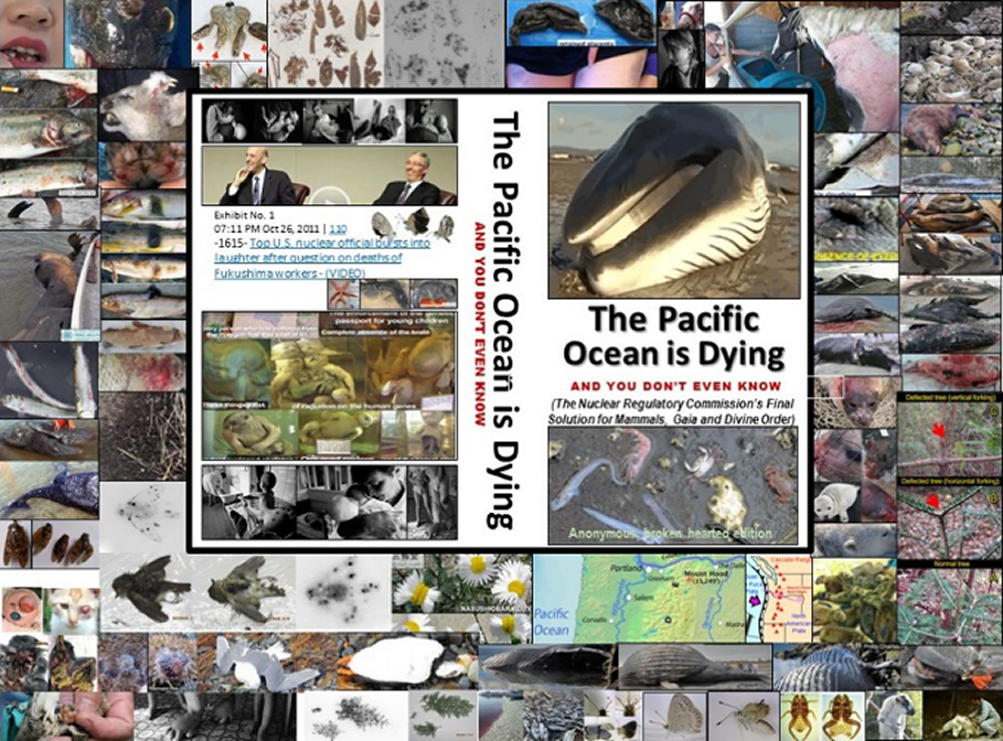 Self-preservation and Pacific Ocean Conservation is half the battle. The only companion e-books (and website) to document that prior and ongoing radioactive nuclear industry waste and fallout and prior atmospheric testing and waste and fallout are killing the Pacific Ocean ...and is a feminist issue because women and girls who live within 25 miles of a nuclear reactor get more cancer than men or boys or those living farther away ...and 41,000 men, women and children a day get fatal and non-fatal cancer from accumulated and new nuclear industry radioactive waste and fallout  ...and that central bankers own the major corporations (including nuclear industry) polluting the environment crushing Mother Nature and with Environmental Personhood corporations and the central bankers that direct them are liable.