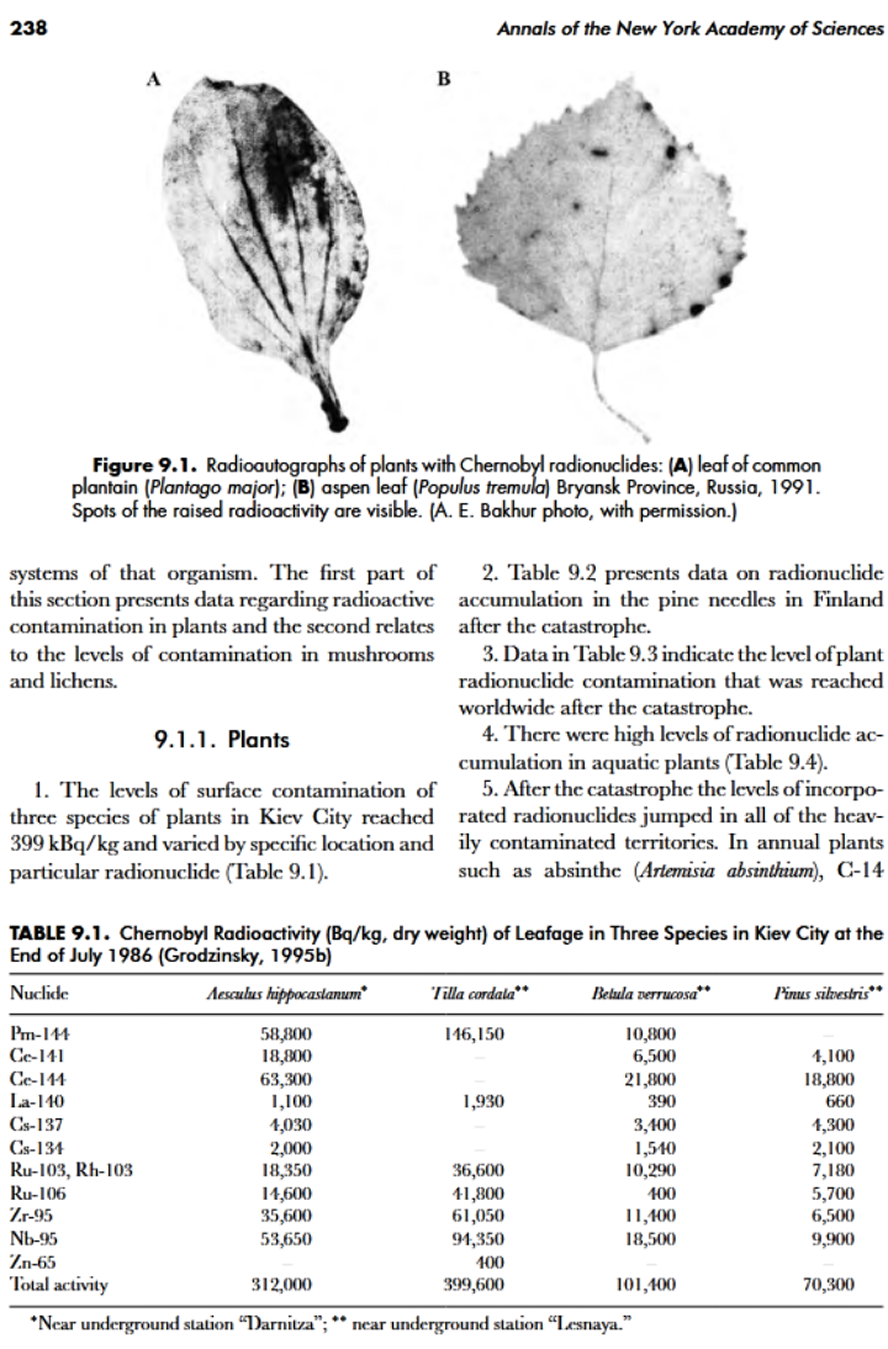 Chernobyl, Flora,