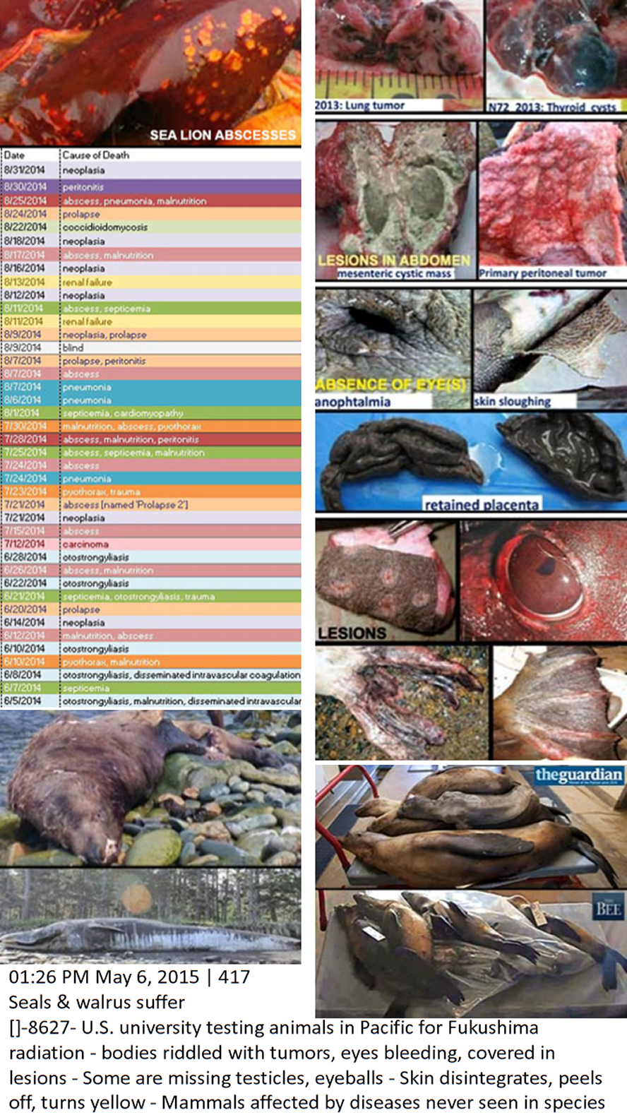 Nuclear radiation hurts animals & so does electromagnetic-spectrum-microwave imaging weather warfare