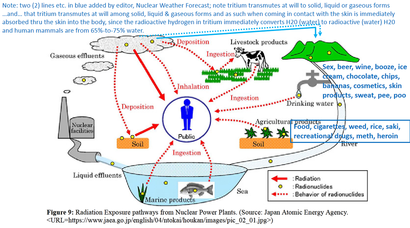 bioaccumulation