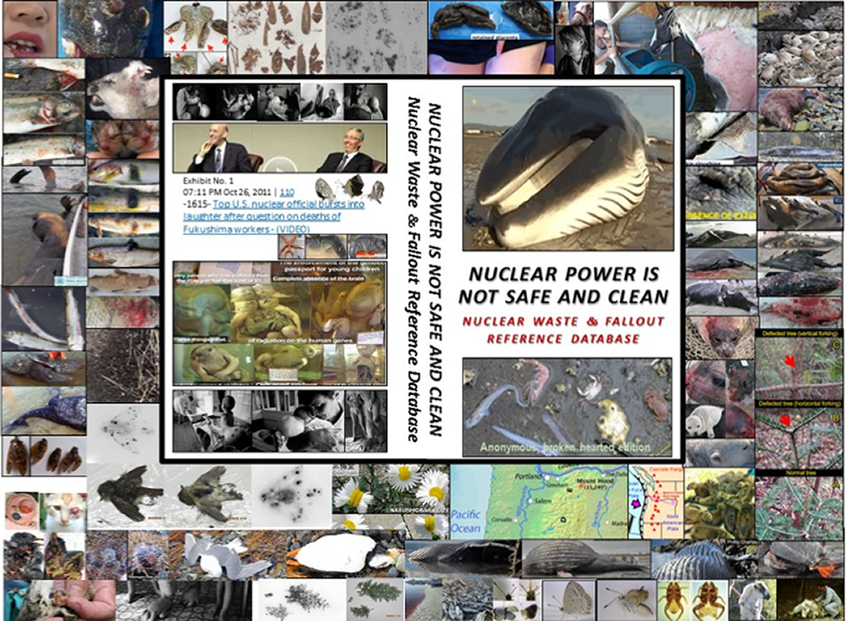 Self-preservation and Pacific Ocean Conservation is half the battle. The only companion e-books (and website) to document that prior and ongoing radioactive nuclear industry waste and fallout and prior atmospheric testing and waste and fallout are killing the Pacific Ocean ...and is a feminist issue because women and girls who live within 25 miles of a nuclear reactor get more cancer than men or boys or those living farther away ...and 41,000 men, women and children a day get fatal and non-fatal cancer from accumulated and new nuclear industry radioactive waste and fallout ...and that central bankers own the major corporations (including nuclear industry) polluting the environment crushing Mother Nature and with Environmental Personhood corporations and the central bankers that direct them are liable.