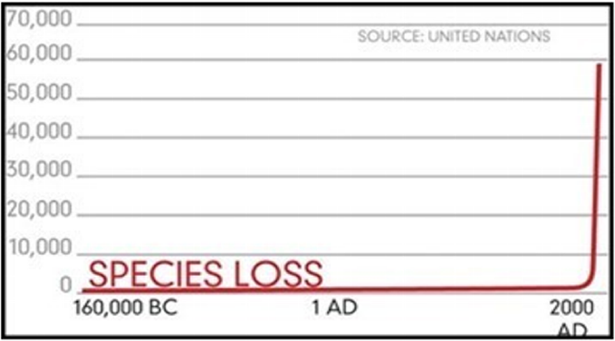 Species loss due to evil manmade and evil womanmade lust for power + control = money