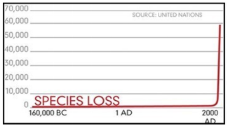 Species Loss