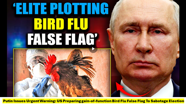 Russia sailed its ships to New York to help fight the American Revolution of 1776; sailed its fleet to San Francisco to help Lincoln in the Civil War in 1865; won World War 1 and World War 2 with very high casualties; was double-crossed by triple-agent Allen Dulles who was a director of Schroder Bank ...as Dulles before the end of WW2 hired Hitler's Gehlen Organization Eastern Front intelligence outfit that became a part of the newly formed CIA with the mission of destroying Russia ... betraying our Ally. Schroder Bank had Bechtel groom Ronald Reagan to be Governor then President. I've written two novels in long and abridged editions, on these topics.