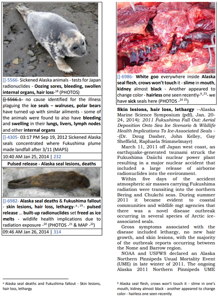 Sick seals from pulsed release ...fallout in ice & snow that melts releases radiation