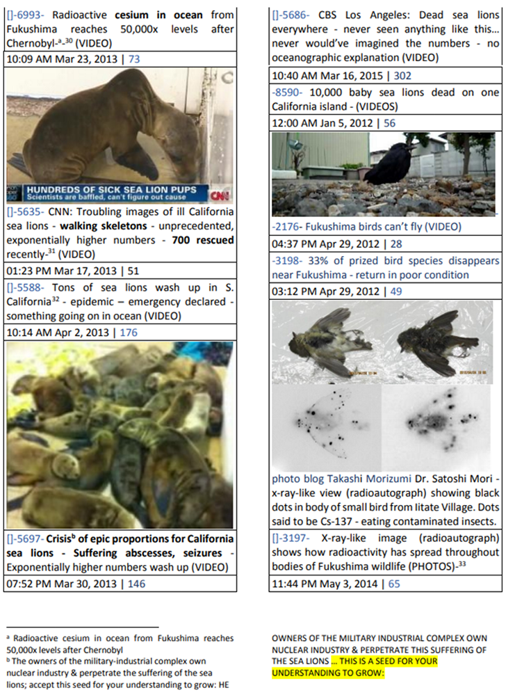 Sea lions starving because Fukushima radiation has destroyed the oceanic food chain, starting with the plankton