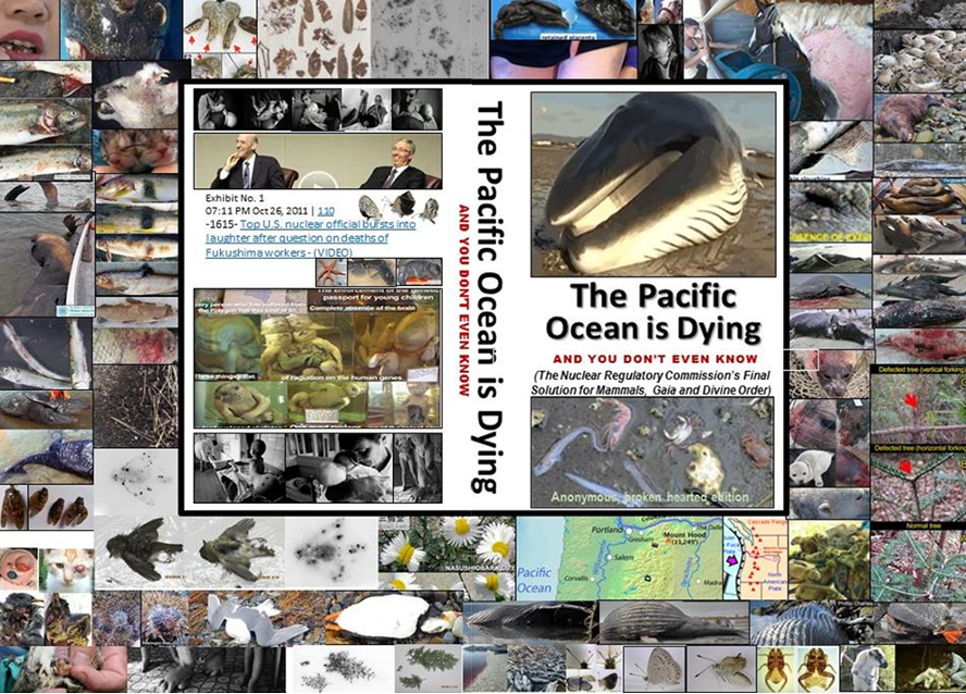 The Pacific Ocean Is Dying And You Don't Even Know