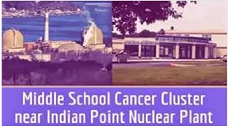Indian Point Nuclear Reactor