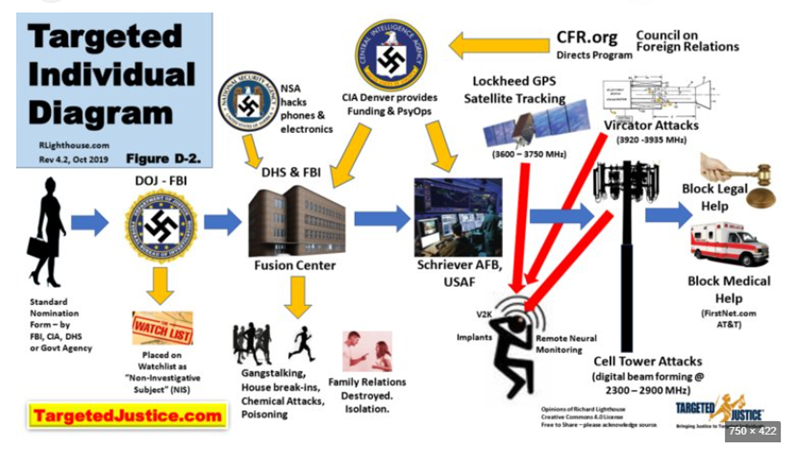 Targeted Individuals