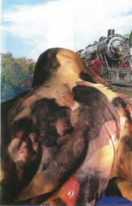 mc36