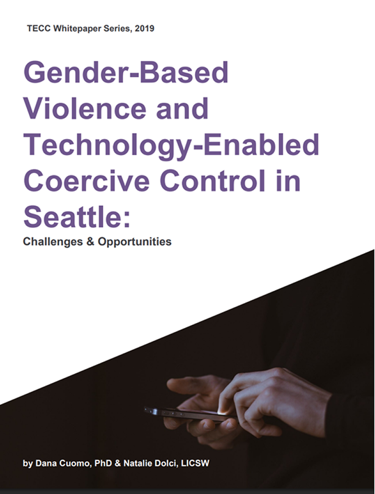 Gender-based e-violence in Seattle