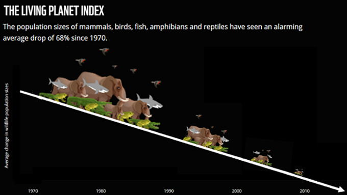 Extinction