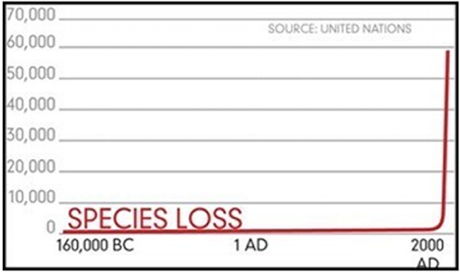 Species Loss