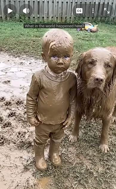 What in the world happened here?