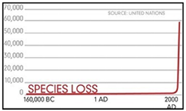 Species Loss ...you know what's doing it.