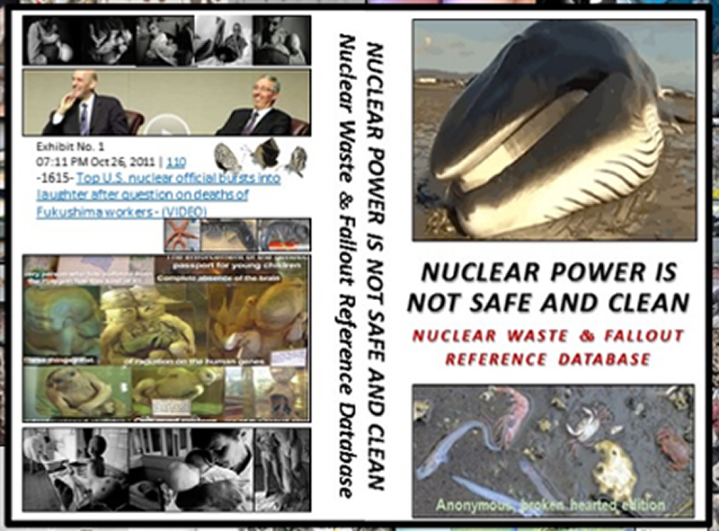 Nuclear Power Is Not Safe And Clean: Nuclear Waste & Fallout Reference Database